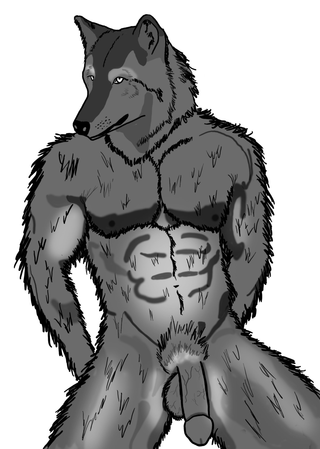 abs anthro balls canid canine canis e621 front_view fur genitals grey_body grey_fur half-erect hi_res humanoid_genitalia humanoid_penis male mammal monochrome mythological_canine mythological_creature mythology nipples nude penis simple_background solo werecanid werecanine werecreature werewolf white_background white_eyes wolf wolfmanatheart
