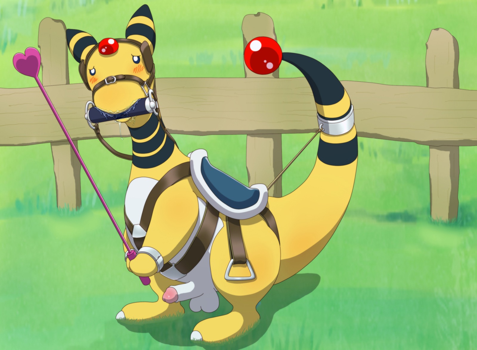 2011 ampharos balls blush color day feral heartabcd male male_only nintendo nude outdoors penis pokemon pokemon_(species) rule34 saddle solo tagme tail testicles