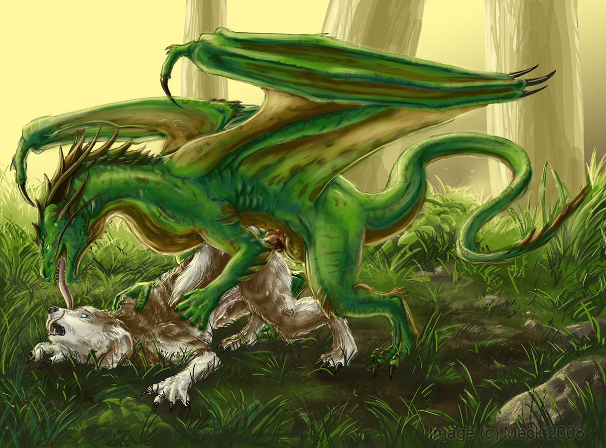 canid canine canis detailed_background docsonar dragon duo e621 erection european_mythology feral feral_on_feral forest genitals horn interspecies male male/male mammal membrane_(anatomy) membranous_wings mythological_creature mythological_scalie mythology nature nude outside penis plant restricted_palette scalie sex tail tree western_dragon wings wolf