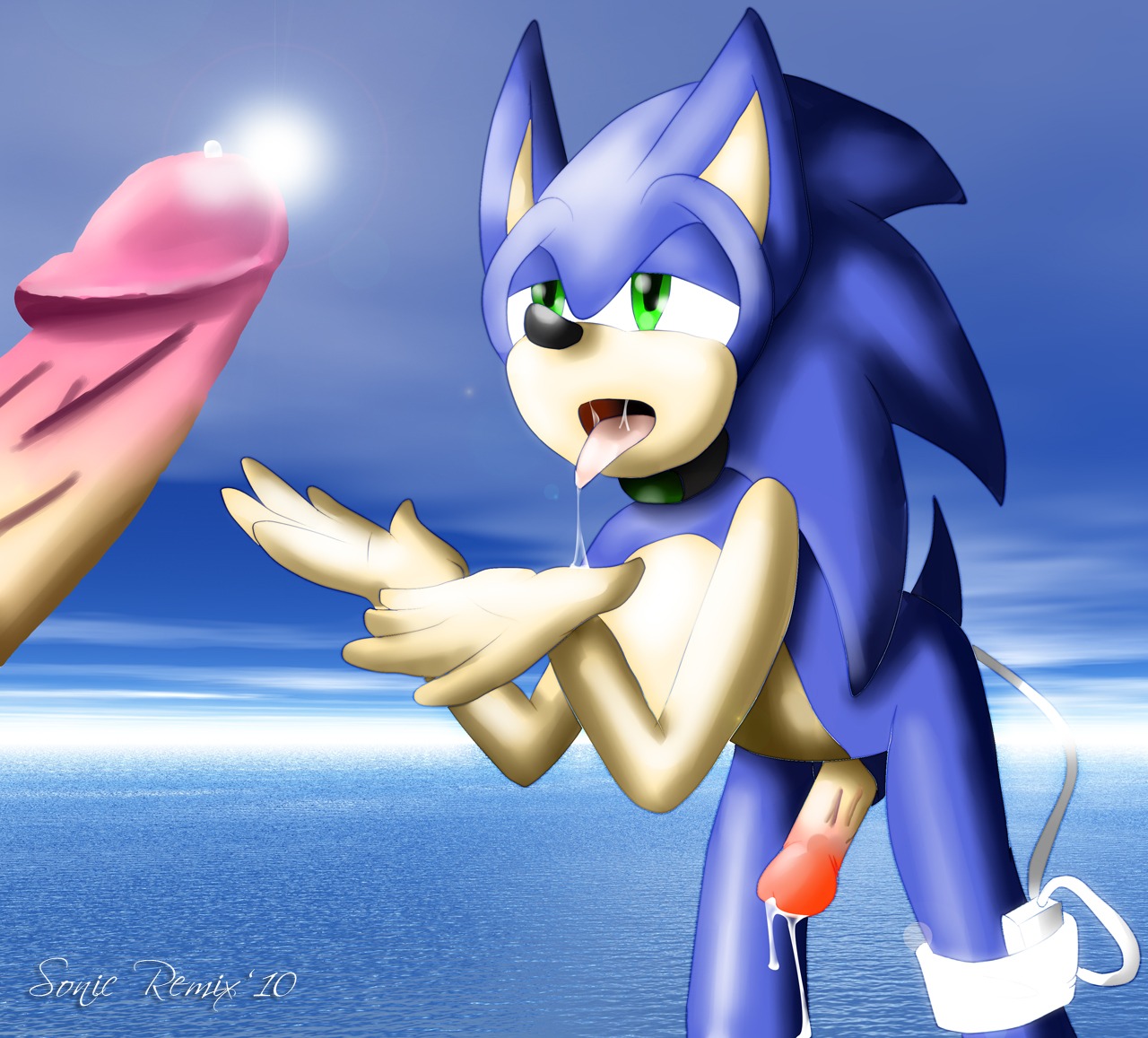 2010 anthro furry hedgehog male male_only multiple_males rule34 sonic_(series) sonic_the_hedgehog tagme yaoi