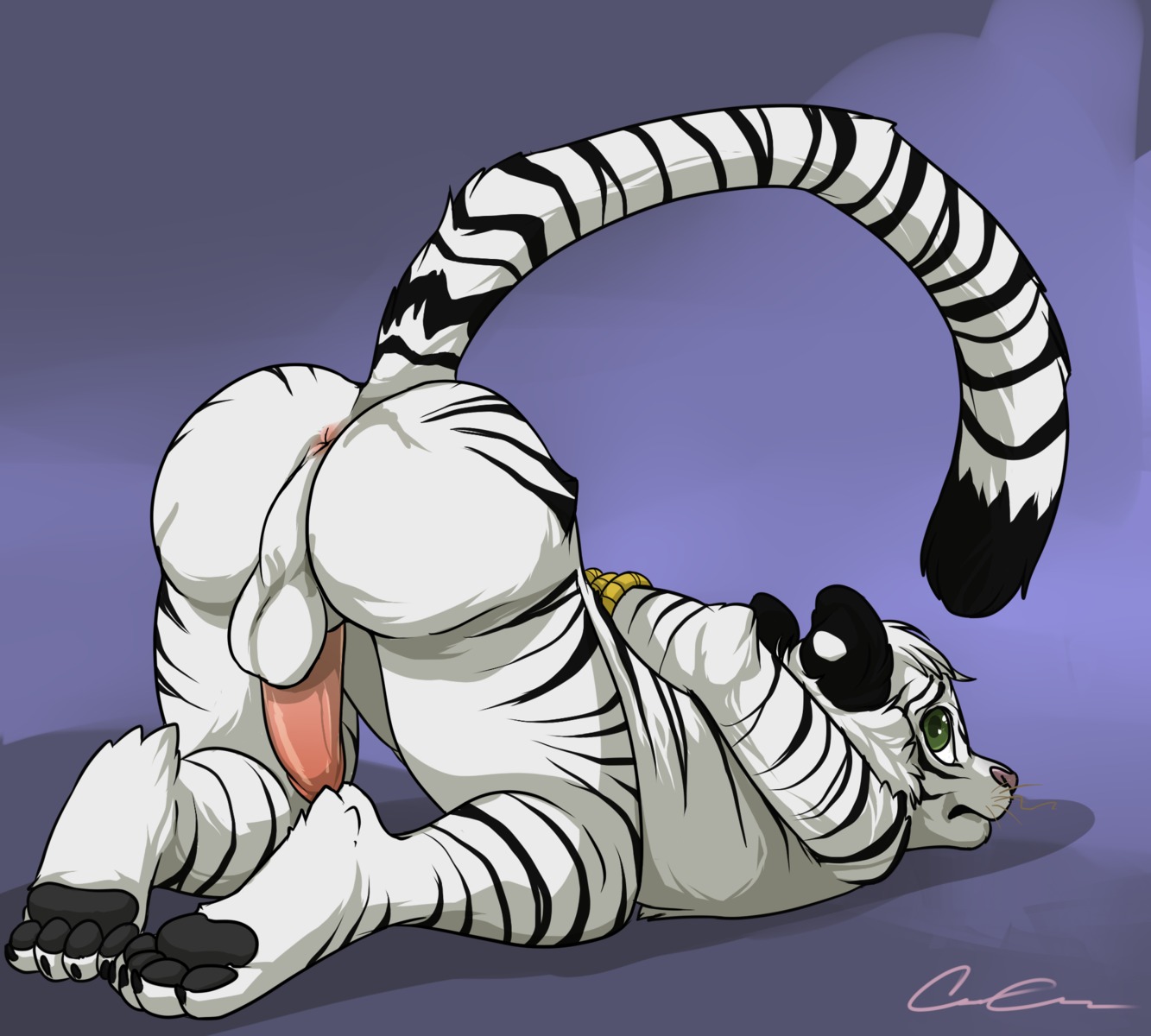 2014 4_toes anthro anus ass_up backsack balls barefoot bdsm big_butt biped bondage bound butt claws e621 erection feet felid frown fur genitals glistening green_eyes hair hi_res hindpaw humanoid_genitalia humanoid_penis keishinkae leucistic looking_back looking_up lying male mammal nude on_front on_ground pantherine pawpads paws penis pink_nose pink_penis presenting presenting_hindquarters raised_tail rope shadow soles solo stripes submissive submissive_male tail tiger toes warwelf whiskers white_body white_fur white_hair