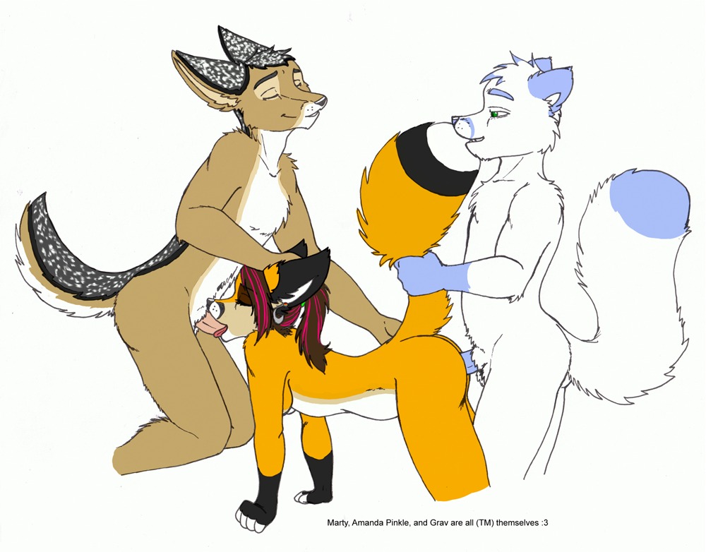 ambiguous_penetration animal_genitalia anthro anthro_on_anthro black_nose blue_body blue_fur blue_nose blue_penis brown_body brown_fur canid canine canis countershading dipstick_tail double_penetration e621 ear_piercing english_text erection eyes_closed fellatio female fingerless_(marking) fluffy fluffy_tail fox from_behind_position fur genitals gloves_(marking) green_eyes grey_body grey_fur group group_sex hand_on_head jackal kneeling male male/female mammal markings multicolored_tail nude oral oral_penetration orange_body orange_fur penetration penile penis piercing pinkle sex sheath simple_background smile spitroast tail tail_grab tail_markings text threesome tongue tongue_out trio two_tone_tail white_background white_body white_fur