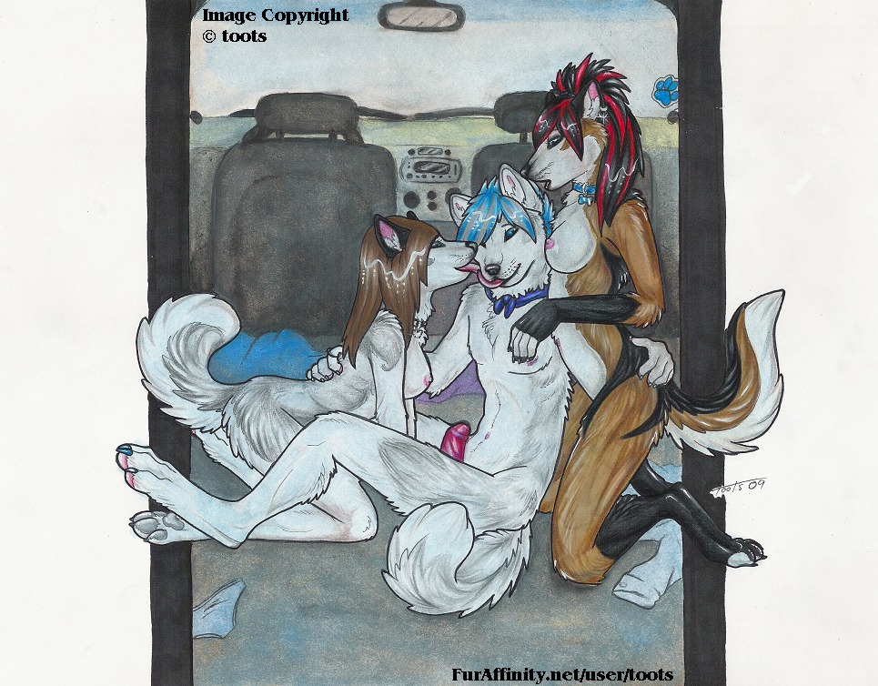 2009 anthro anthro_on_anthro breasts bus canid canine canis collar commercial_vehicle copyright_symbol e621 english_text erection female foreskin genitals group group_sex hand_on_back hand_on_butt humanoid_genitalia humanoid_penis inside_bus kneeling lick_kiss licking love male male/female mammal nipples nude partially_retracted_foreskin penis pink_penis public_transportation sex sitting symbol tail text threesome tongue tongue_out toots trio vehicle vehicle_for_hire wolf