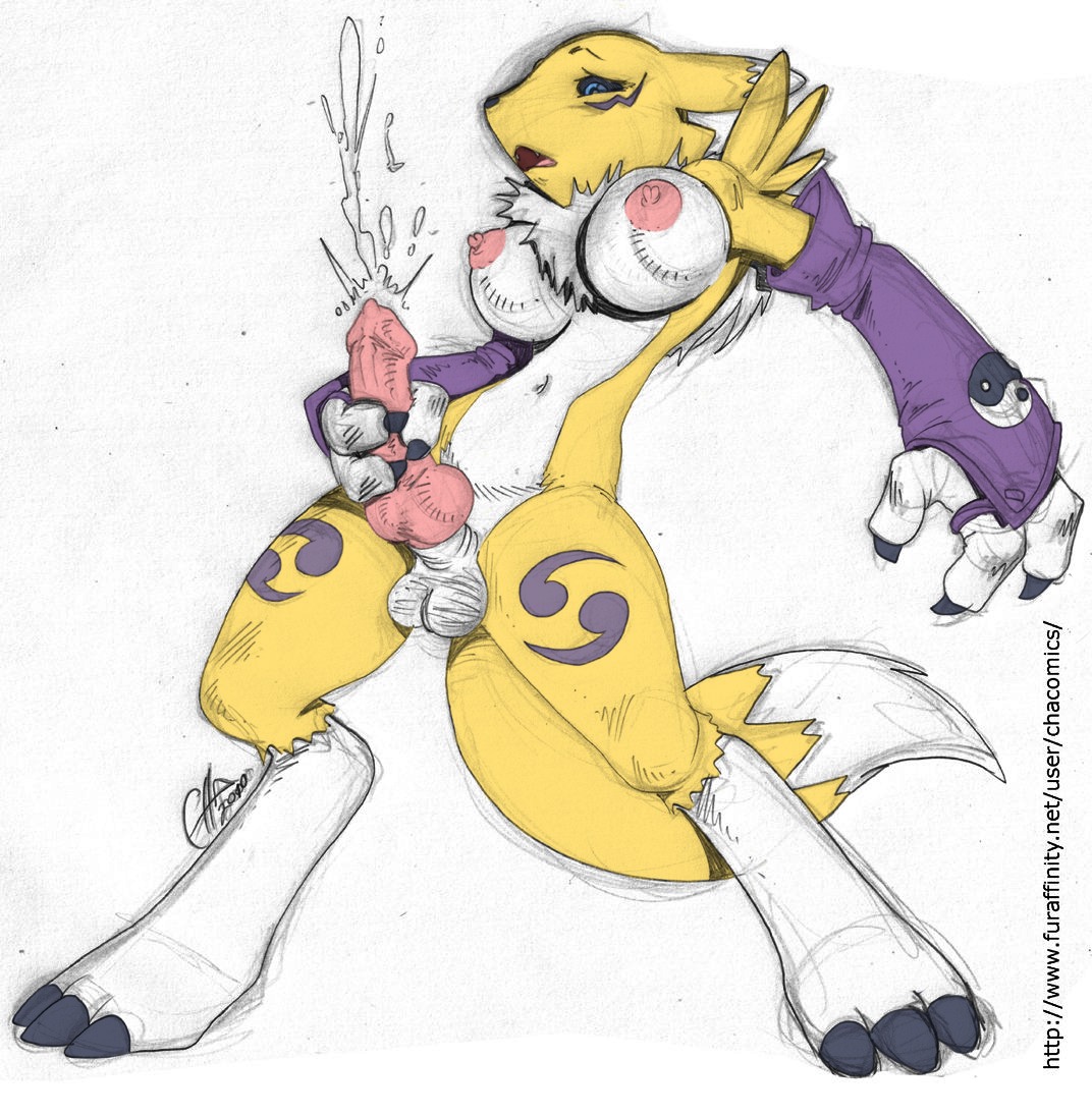 1futa 3_fingers 3_toes anthro balls barefoot black_nose black_sclera blue_eyes breasts canine chacomics claws color cum dickgirl digimon digimon_(species) ejaculation erection fox front_view fur furry furry_breasts furry_ears furry_tail futanari handjob intersex intersex_only masturbation nipples open_eyes open_mouth penis pink_nipples pointy_ears renamon rule34 solo solo_futa tail testicles white_background white_fur yellow_fur