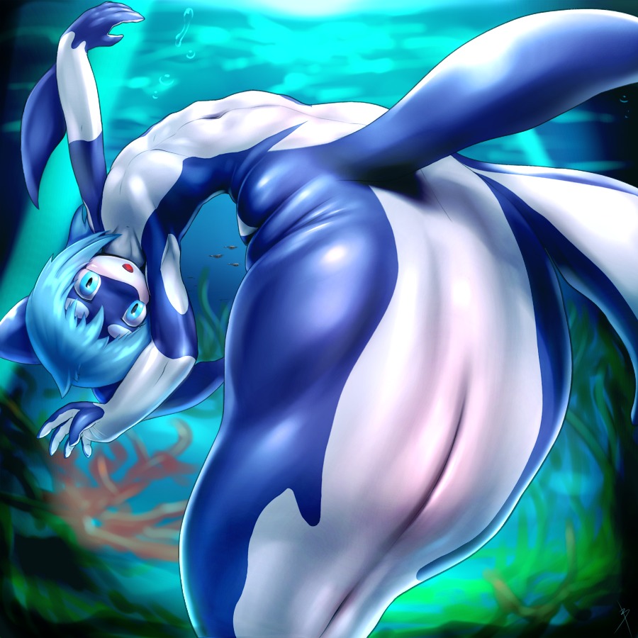 1:1 2014 animal_genitalia anthro anus aquatic bamia blue_body blue_eyes blue_hair cetacean digital_media_(artwork) dolphin e621 genital_slit genitals hair kemono long_hair looking_at_viewer male mammal merfolk navel nude oceanic_dolphin orca sizuku_(character) solo split_form taur toothed_whale underwater water white_body