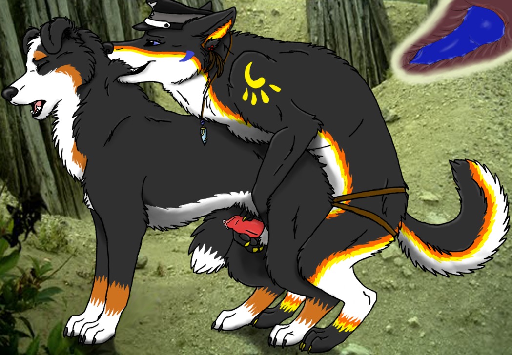 all_fours anal anal_penetration animal_genitalia aura_soul balls bernese_mountain_dog bite biting_another biting_partner black_clothing black_headwear bodily_fluids canid canine canis clothing cum digital_media_(artwork) dildo domestic_dog duo e621 erection female female_pegging_male female_penetrating female_penetrating_male feral feral_on_feral feral_penetrated feral_penetrating feral_penetrating_feral from_behind_position fur genital_fluids genitals handjob handjob_while_pegging handjob_while_penetrating handjob_while_toying hat headgear headwear jewelry looking_pleasured male male/female male_penetrated mammal mixed_media molosser mostly_nude mountain_dog mounting nazi neck_bite necklace nude object_in_ass pegging penetration penile penis photo_background photography_(artwork) reach_around scruff_bite sennie sennie_(character) sex sex_toy sex_toy_in_ass sex_toy_insertion sheath side_view strapon strapon_sex swiss_mountain_dog tail toying_partner