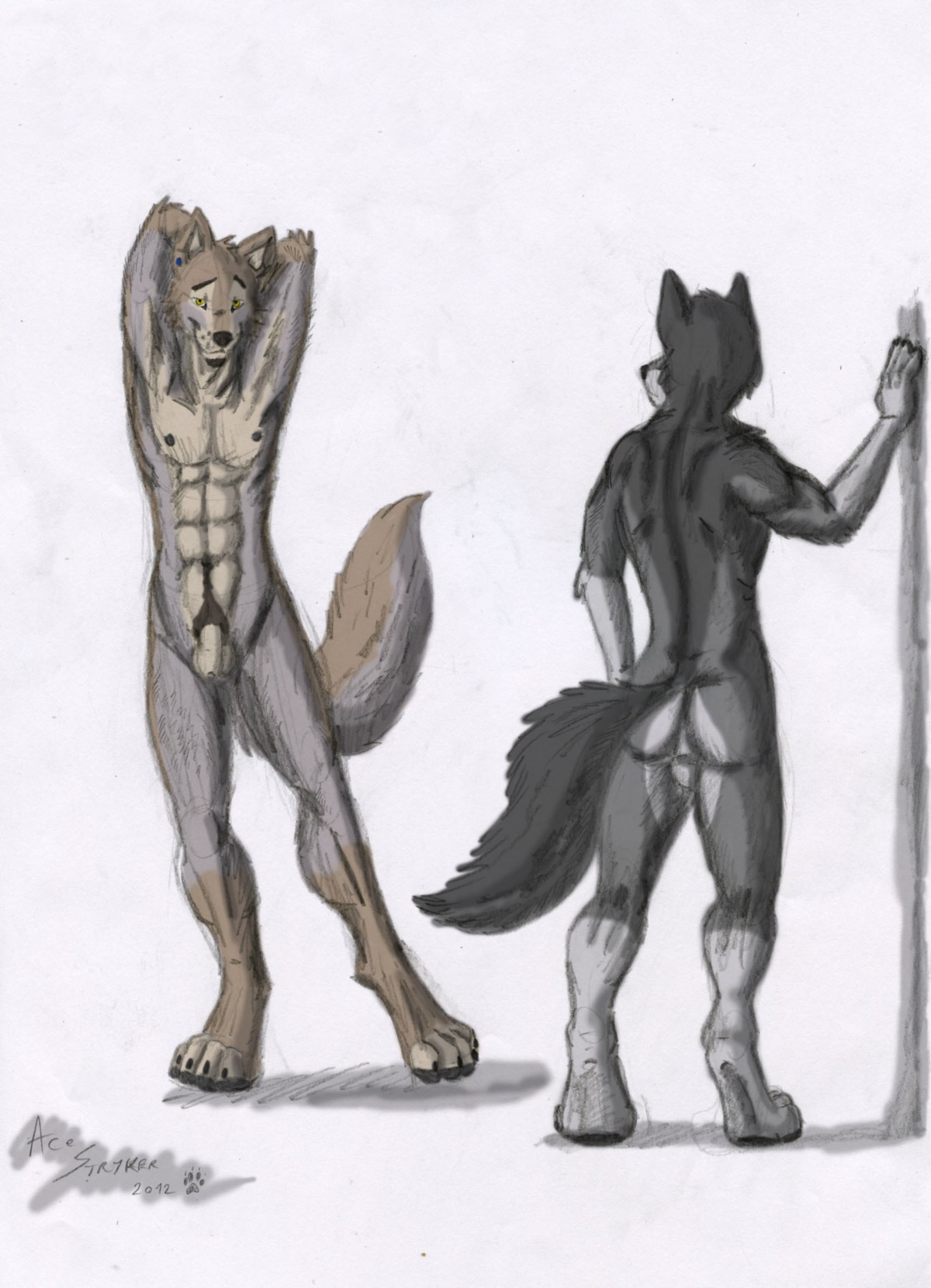 2012 abs ace_stryker anthro backsack balls black_body black_fur butt canid canine canis duo e621 flaccid foreskin fur genitals hi_res humanoid_genitalia humanoid_penis looking_at_viewer male mammal muscular penis pose simple_background standing tail wolf yellow_eyes