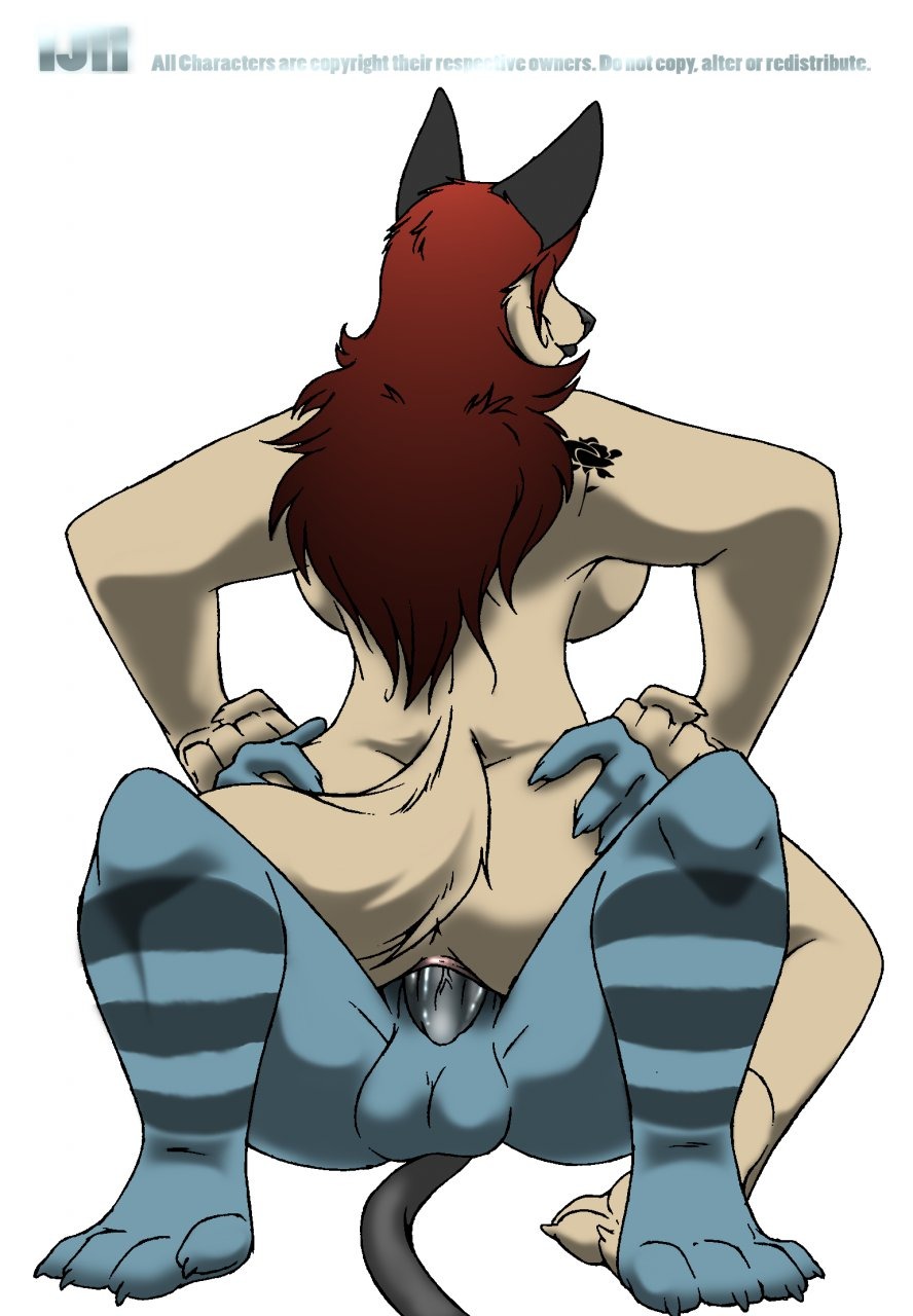 4_toes anthro balls big_breasts breasts butt canid canine canis claws cowgirl_position curvy_figure duo e621 erection faceless_character faceless_male feet female female_on_top female_penetrated from_front_position gabrielle_lawson genitals hair hi_res hindpaw inu-jean long_hair lying male male/female male_on_bottom male_penetrating male_penetrating_female mammal nude on_back on_bottom on_top paws penetration penile penile_penetration penis penis_in_vagina red_hair sex simple_background smile spread_legs spreading straddling tail tattoo toe_claws toes vaginal vaginal_penetration voluptuous vulva wide_hips wolf