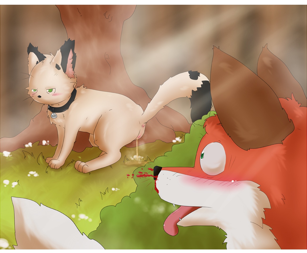 2014 all_fours ambiguous_gender anus being_watched blood blush bodily_fluids canid canine collar detailed_background domestic_cat duo e621 felid feline felis female feral forest fox fur genital_fluids genitals grass half-closed_eyes kunie kunie_funakoshi letterbox looking_at_another mammal narrowed_eyes nature nosebleed outside peeing plant sharp_teeth standing teeth tongue tongue_out toony tree urine vulva whiskers wood
