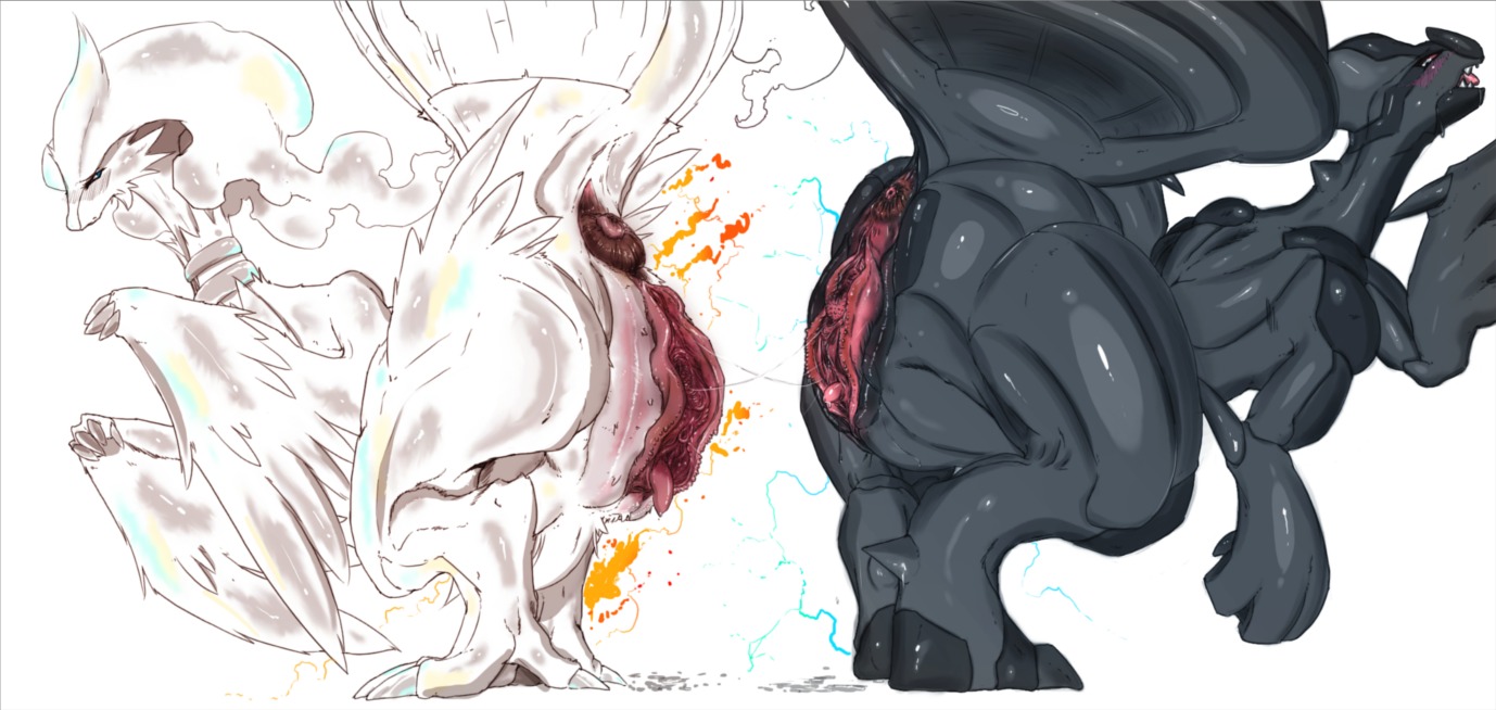 anus color darthsaburou female female_only huge_pussy interspecies multiple_females multiple_girls nude pokemon pussy reshiram rule34 side_view tagme vulva zekrom