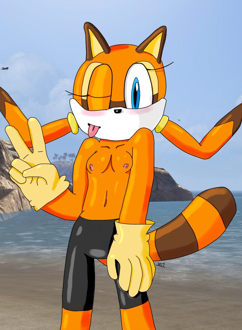 anthro beach day female female_only flat_chest front_view fur furry gesture gloves hand_on_leg looking_at_viewer mammal marine_the_raccoon nipples outdoors raccoon rule34 shorts solo sonic_(series) standing tagme tight_clothing topless v wink