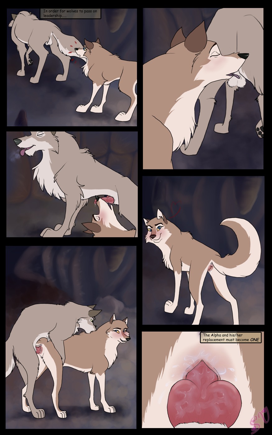 5:8 aleu_(balto) all_fours animal_genitalia animal_vulva backsack ball_lick balls balto_(series) canid canine canine_genitalia canine_vulva canis doggystyle duo e621 erection female feral from_behind_position genitals hi_res hybrid knot licking male male/female mammal nava_(balto) oral penis presenting raised_tail satinvixen sex sheath sideways_oral tail tongue tongue_out universal_studios vaginal vulva wolf wolfdog