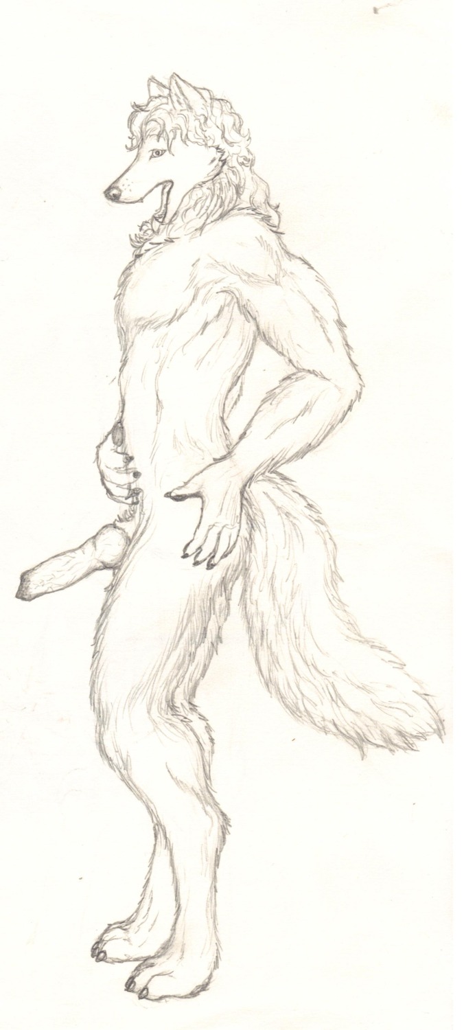 absurd_res animal_genitalia animal_penis anthro biped canid canine canine_genitalia canine_penis canis cocky conditional_dnp cracky e621 erection fluffy genitals graphite_(artwork) greyscale hand_on_hip hi_res knot looking_at_viewer male mammal monochrome nameles_wolf_(cracky) open_mouth penis sheath side_view simple_background solo standing tail traditional_media_(artwork) wolf