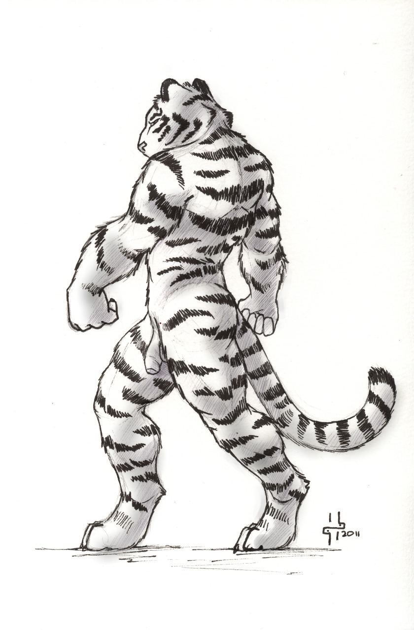 anthro e621 felid flaccid foreskin genitals greyscale hi_res hufnaar humanoid_genitalia humanoid_penis male mammal monochrome muscular muscular_anthro muscular_male nude pantherine penis pose solo stripes tail tiger