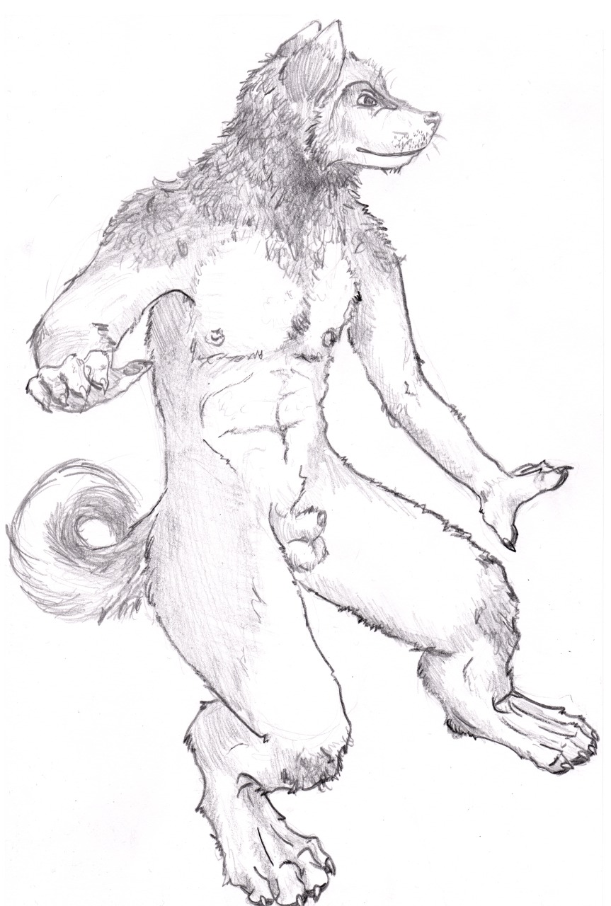 4_toes animal_genitalia anthro balls canid canine canis claws domestic_dog e621 feet flaccid fully_sheathed genitals greyscale hi_res hindpaw husky looking_away male mammal monochrome nipples nordic_sled_dog nude paws pencil_(object) penis semiotica sheath simple_background solo spitz tail toes