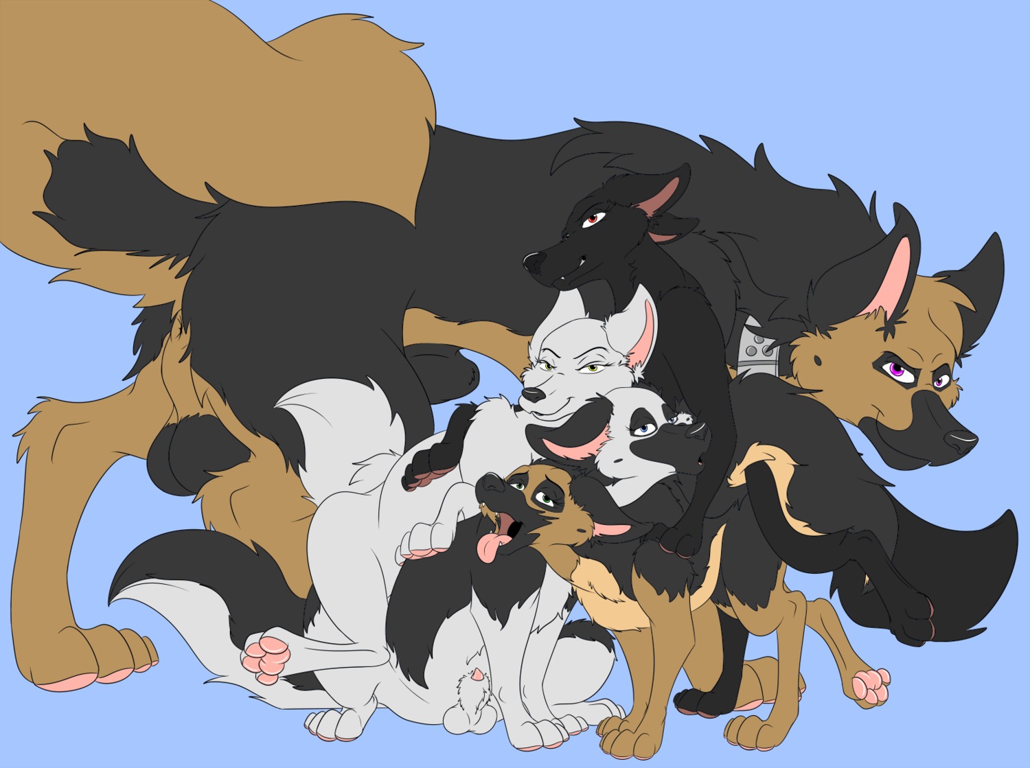 2013 4_toes anatomically_correct anatomically_correct_genitalia animal_genitalia anus backsack balls blue_eyes canid canine canis conditional_dnp digitigrade domestic_dog e621 feet female feral feral_on_feral fully_sheathed genitals german_shepherd green_eyes group herding_dog hi_res hindpaw larger_male looking_at_viewer male mammal nude open_mouth pastoral_dog pawpads paws penis penis_tip psy101 purple_eyes quadruped red_eyes rip_(psy101) sheath simple_background size_difference smaller_female smaller_male soles tail toes tongue tongue_out yellow_eyes