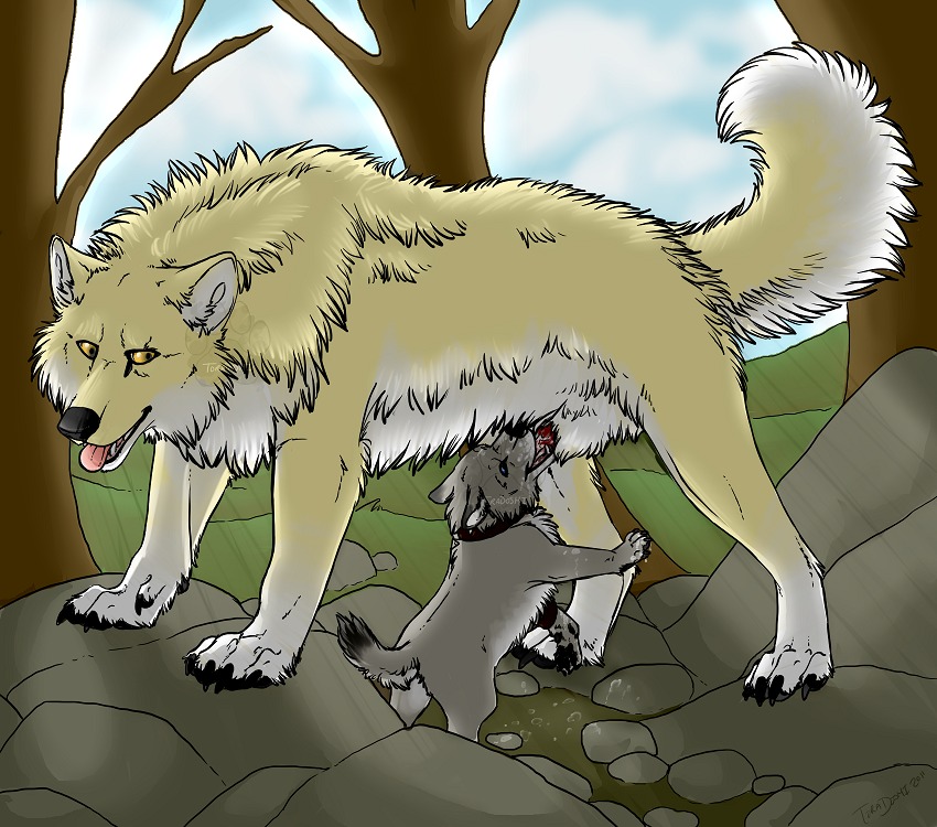 age_difference ambiguous_gender animal_genitalia black_nose blue_eyes bodily_fluids canid canine canis claws cloud countershading cum cum_in_mouth cum_inside dewclaw dipstick_tail domestic_dog duo e621 erection fellatio feral feral_on_feral fur genital_fluids genitals grey_body grey_fur male mammal markings multicolored_tail older_male on_hind_legs oral oral_penetration outside penetration penile penis penis_milking penis_nursing plant rock service_height sex sheath size_difference sky small_penis smaller_penetrated standing tail tail_markings tongue tongue_out toradoshi tree white_body white_fur wolf wood yellow_body yellow_eyes yellow_fur young young_feral younger_penetrated
