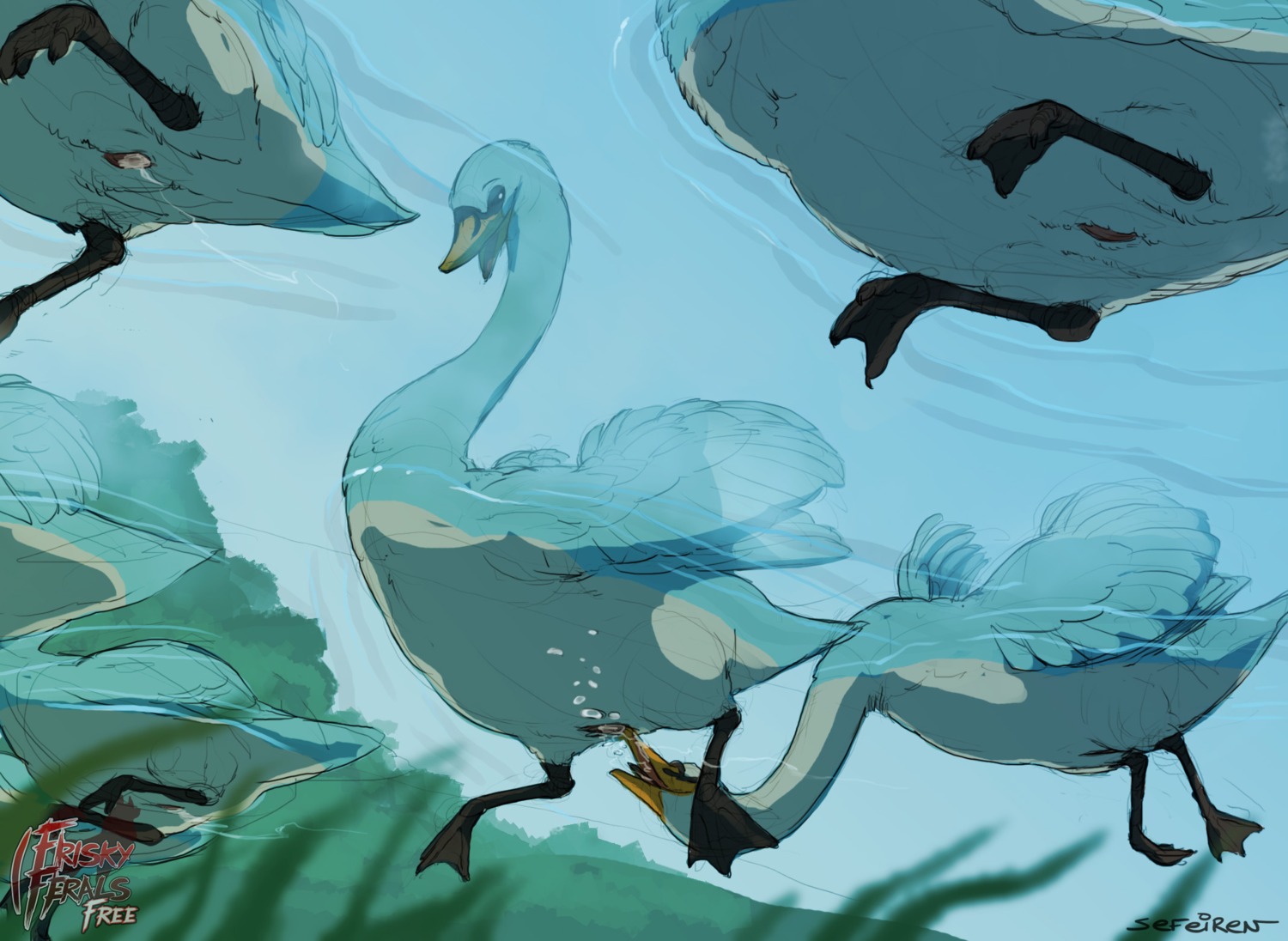 2013 ambiguous_feral ambiguous_gender anatid anatomically_correct anatomically_correct_cloaca anatomically_correct_genitalia animal_genitalia anseriform anserine avian avian_butt beak beak_fetish beak_fuck beak_in_cloaca beak_play beak_sex bird bodily_fluids bubble cloaca cloaca_juice cloacal cloacal_penetration conditional_dnp cum digital_media_(artwork) e621 feathers feral feral_on_feral frisky_ferals genital_fluids genitals group hi_res mute_swan nude open_mouth oral partially_submerged penetration pink_cloaca sefeiren sex snout_fuck swan swimming the_twelve_days_of_christmas_(song) tongue underwater vertical_cloaca water