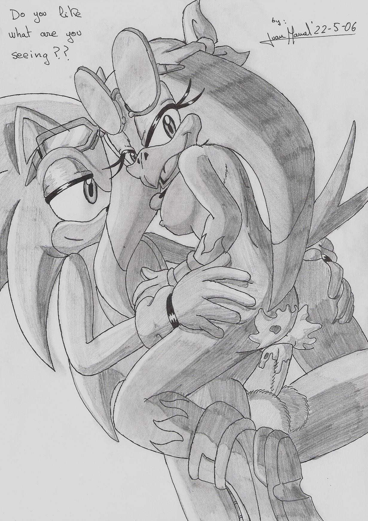 2006 anthro avian bird cum female fur furry greyscale hedgehog insertion interspecies male monochrome penis pussy rule34 sex sonic_(series) sonic_riders sonic_the_hedgehog straight straight_hair swallow tagme vaginal_penetration wave_the_swallow