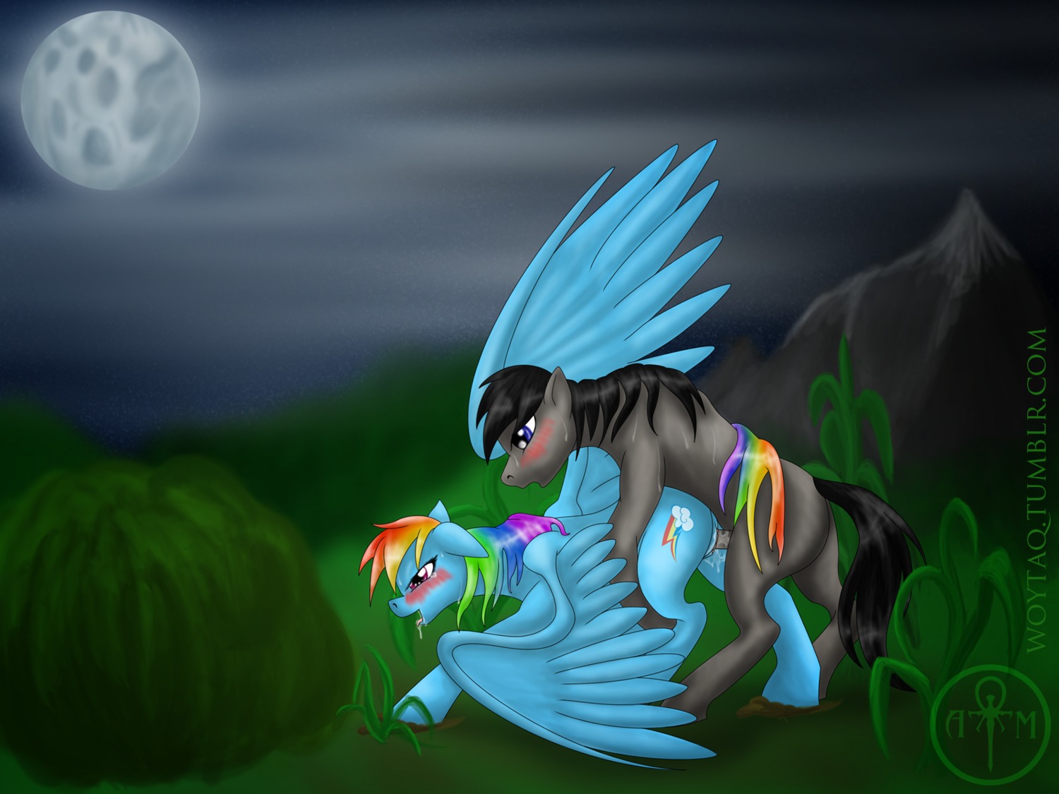 2012 4:3 adalbertus blue_body blue_feathers blue_fur blush bodily_fluids cloud cutie_mark drooling duo e621 equid equine erection fan_character feathered_wings feathers female female_penetrated feral friendship_is_magic fur genitals hair hasbro hi_res male male/female male_penetrating male_penetrating_female mammal moon multicolored_hair my_little_pony mythological_creature mythological_equine mythology night nude open_mouth outside pegasus penetration penile penile_penetration penis penis_in_vagina purple_eyes quadruped rainbow_dash_(mlp) rainbow_hair saliva sex sky sweat tail vaginal vaginal_penetration vulva wings