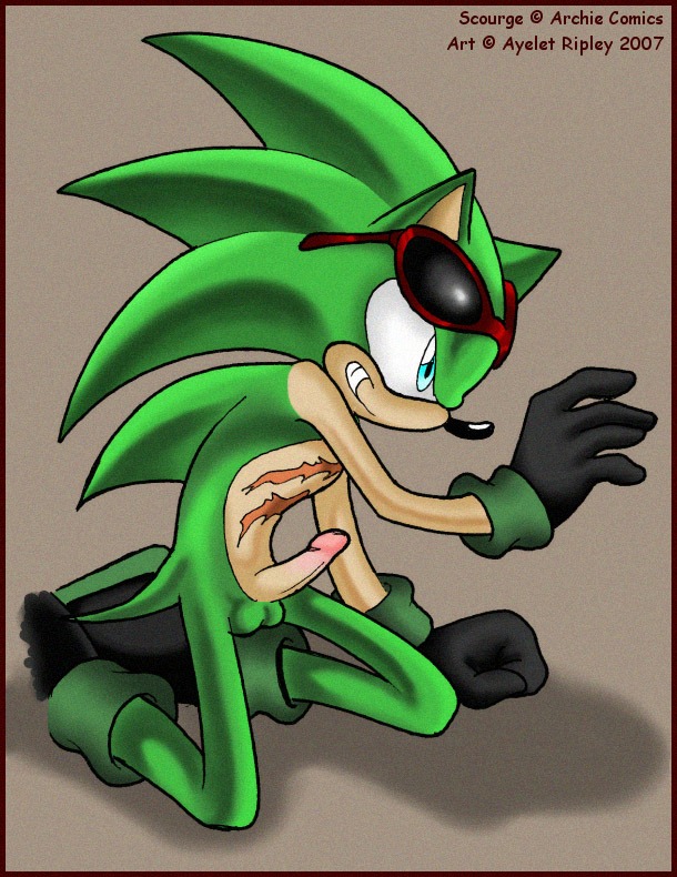 anthro archie_comics ayelet_ripley balls blue_eyes clothing e621 erection eulipotyphlan eyewear footwear genitals gloves green_body handwear hedgehog male mammal nude penis scar scourge_the_hedgehog sega shoes solo sonic_the_hedgehog_(archie) sonic_the_hedgehog_(comics) sonic_the_hedgehog_(series) sunglasses teeth