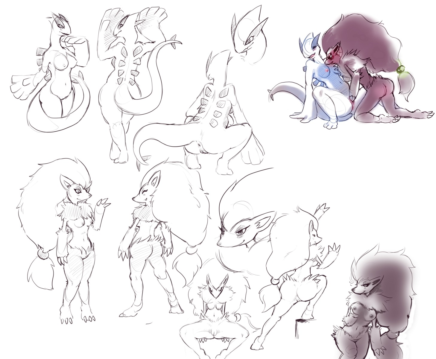 anthro avian canine female furry legendary_pokemon lugia pokemon pokemon_(species) pokemon_focus purplekecleon rule34 yuri zoroark