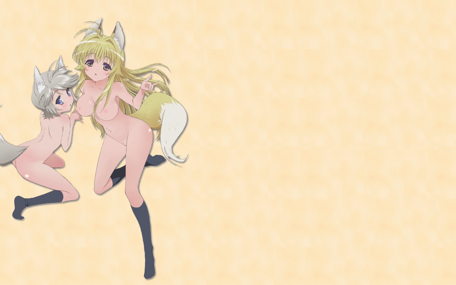 animal_ear breasts ezomori_nozomu female footwear fox_ear highres kanokon kneehighs minamoto_chizuru nipples no_panties rule34 socks tail wallpaper wolf_ear