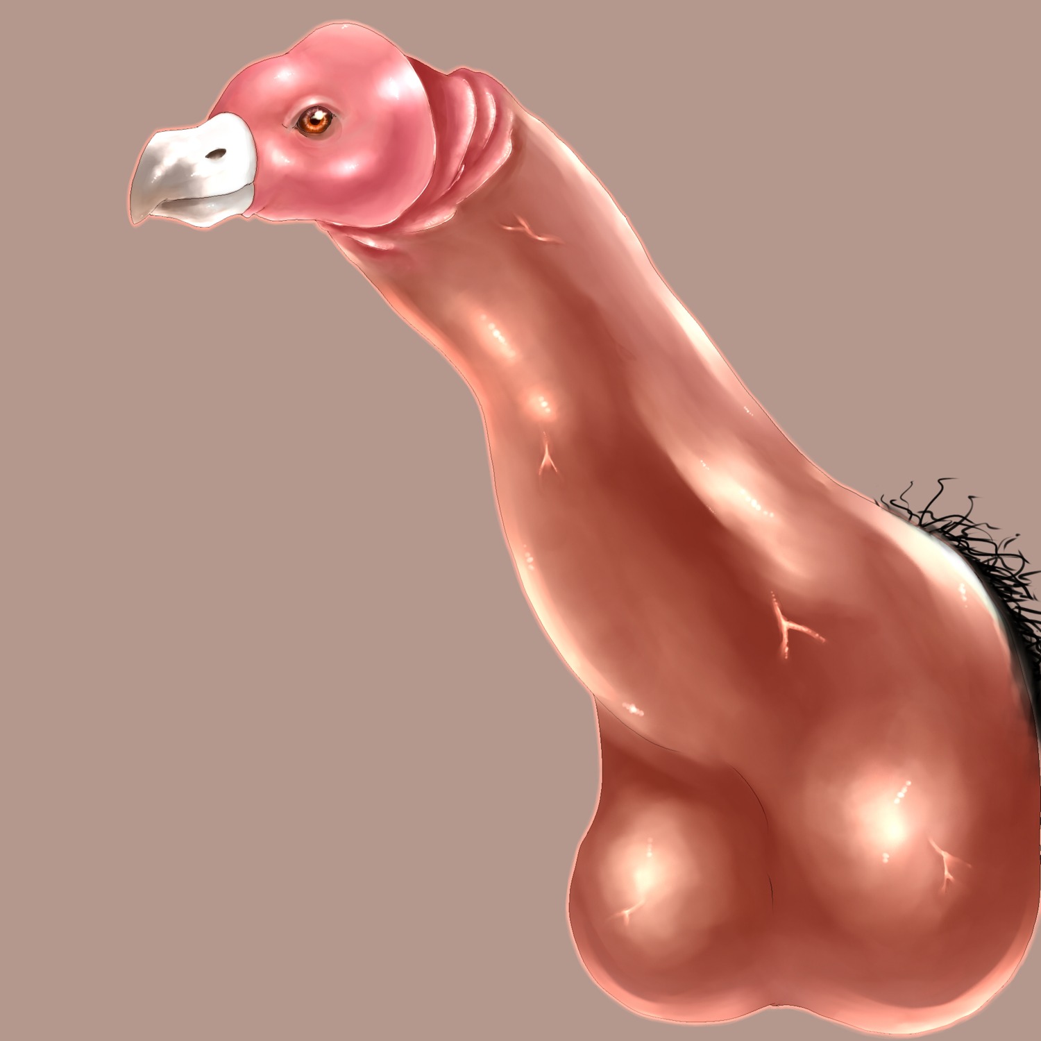 1:1 accipitriform avian beak bird e621 erection genital_shot genitals hi_res male nightmare_fuel penis penis_creature penis_shot sentient_penis simple_background solo unavailable_at_source unknown_artist vein veiny_penis vulture what what_has_science_done where_is_your_god_now