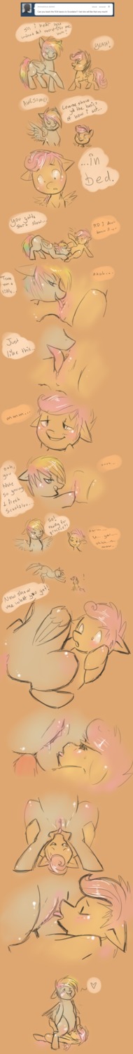 equine female feral friendship_is_magic horse my_little_pony pegasus pony rainbow_dash_(mlp) rule34 scootaloo_(mlp) smooth_skin tagme wings
