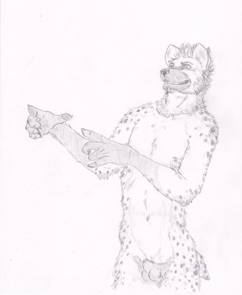animal_genitalia balls black_and_white claws e621 flaccid genitals gesture hand_gesture hyena male mammal monochrome nipples nude open_mouth penis pointing semiotica sheath simple_background solo spotted_hyena