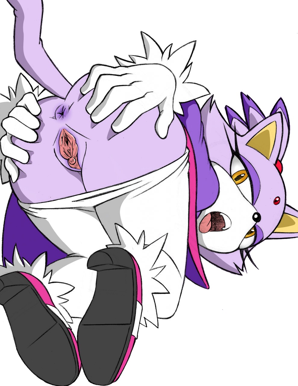anthro anus biped blaze_the_cat butt clothing domestic_cat e621 felid feline felis female footwear genitals hi_res high_heels mammal open_mouth presenting rule34rox sega shoes solo sonic_the_hedgehog_(series) spread_butt spread_vulva spreading toony vulva
