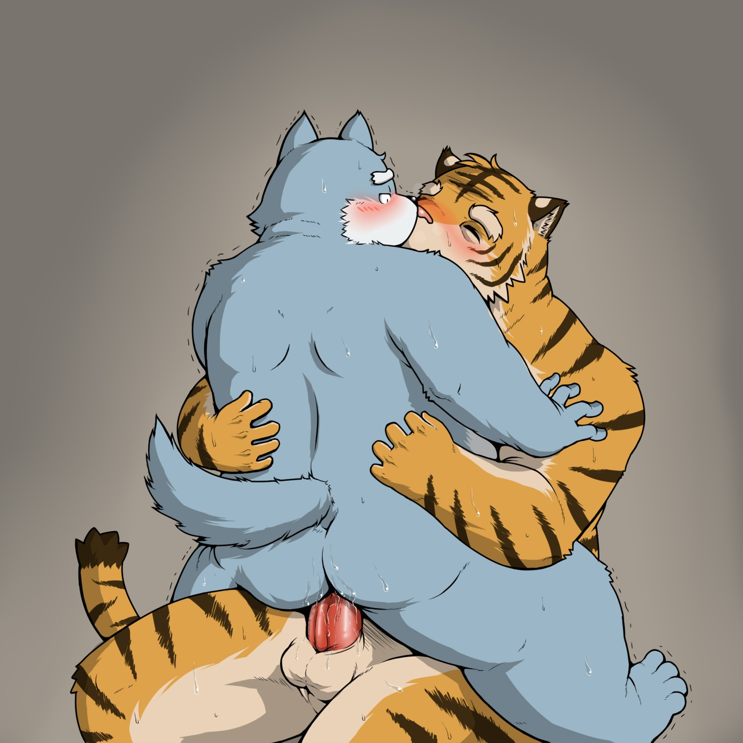 1:1 anal anal_penetration anthro balls black_nose butt canid canine canis domestic_dog duo e621 erection eyebrows eyes_closed felid from_front_position genitals hi_res hug kemono male male/male male_penetrated male_penetrating male_penetrating_male mammal mastery_position nude on_lap pantherine penetration penis pink_nose rear_view sex shinoda_hamazaki sitting sitting_on_lap slightly_chubby straddling tiger