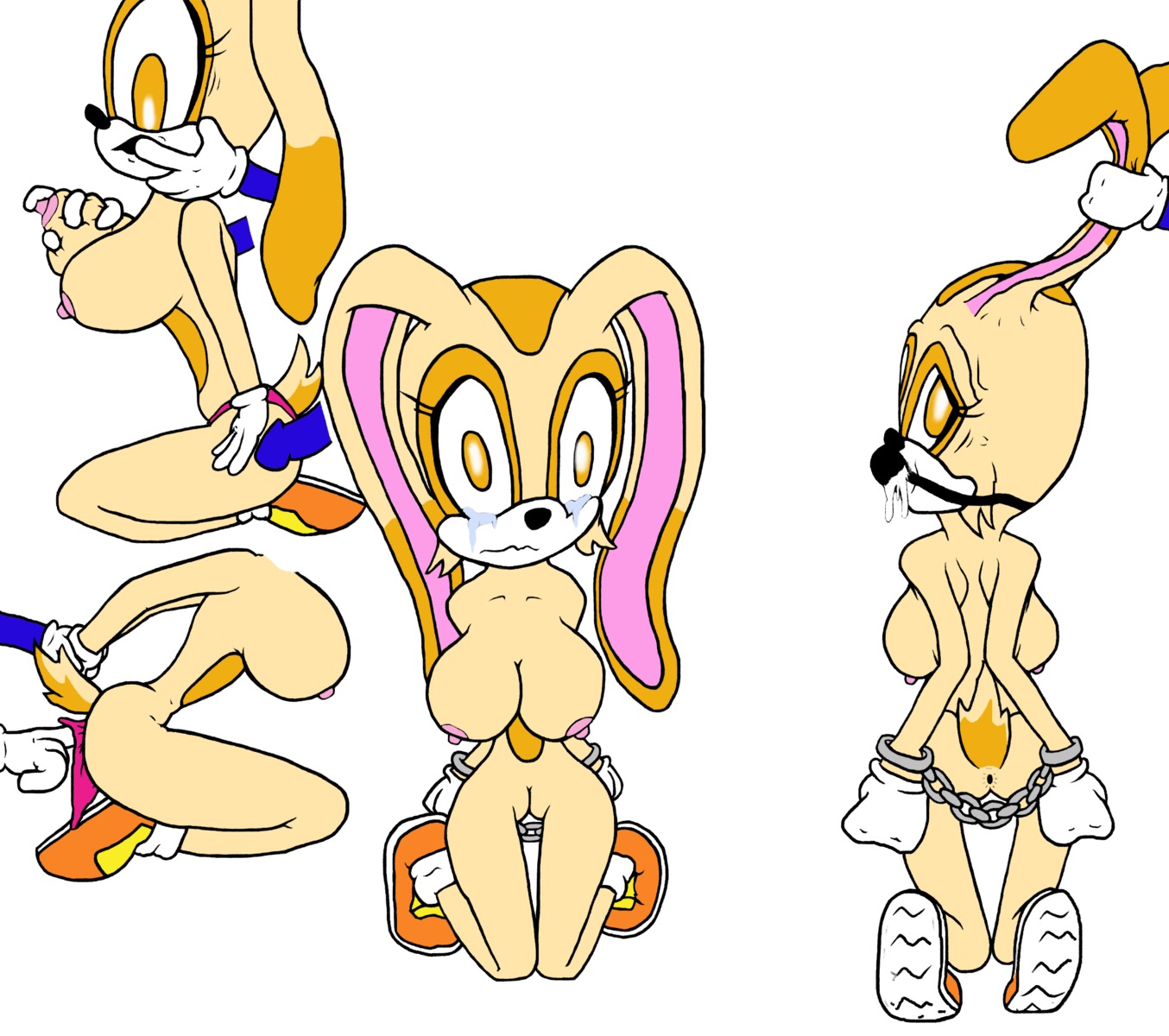 anthro breasts cream_the_rabbit female fur hedgehog interspecies kneeling male mammal nude rabbit rule34 sega solo_focus sonic_(series) sonic_the_hedgehog straight straight_hair tagme