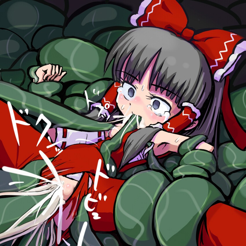 female reimu_hakurei rule34 tagme touhou