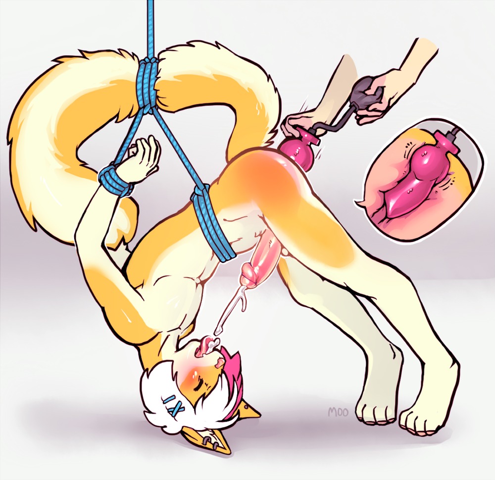 4_toes 5_fingers anal anal_orgasm anal_penetration animal_dildo animal_sex_toy anthro anthro_penetrated anus arh arms_tied bdsm bent_over blush bodily_fluids bound canine_dildo cum cum_in_mouth cum_in_own_mouth cum_in_self cum_inside cum_on_own_tongue cum_on_self cum_on_tongue cum_while_penetrated cumshot digital_media_(artwork) digitigrade dildo dildo_insertion dildo_knotting disembodied_hand domestic_cat duo e621 ear_piercing ejaculation erection eyes_closed feet felid feline felis femboy fingers forced forced_orgasm foreskin genital_fluids genitals glans hair hands-free human humanoid_genitalia humanoid_penis inflatable_buttplug inflatable_dildo inflatable_toy internal knot knotted_dildo knotting male male_penetrated mammal nude orgasm partially_retracted_foreskin pawpads penetration penile penis piercing pink_glans pink_penis restrained rope sex sex_toy sex_toy_insertion simple_background solo_focus suspension toes tongue toying_partner white_hair