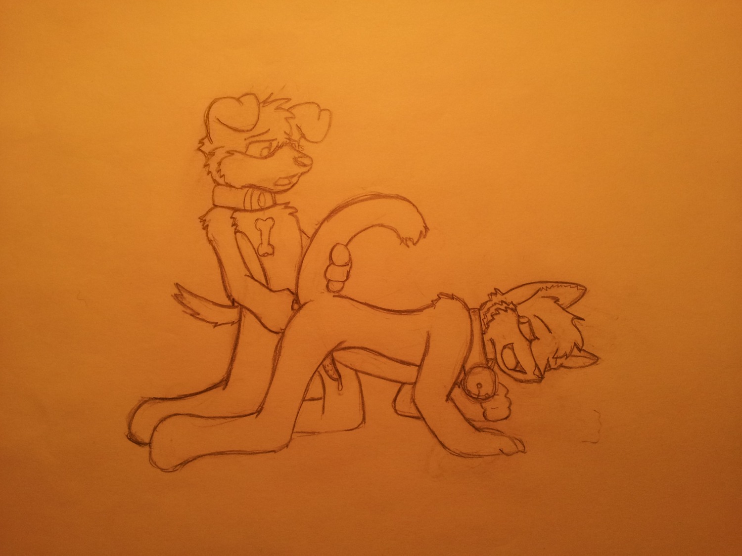 4:3 absurd_res all_fours anthro bodily_fluids canid canine canis cum doggystyle domestic_cat domestic_dog duo e621 english_text erection felid feline felis from_behind_position genital_fluids genitals hi_res housepets! male male/male mammal maxwell_(housepets!) negitory nude peanut_butter_(housepets!) penis precum sex sketch tail text