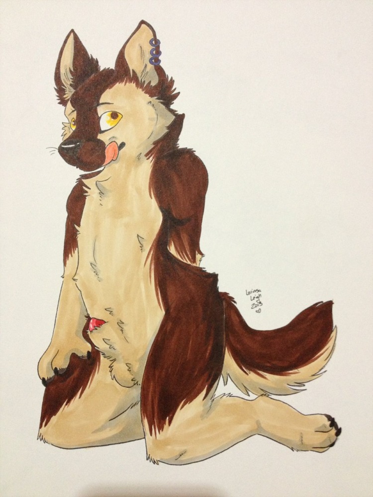 2013 3:4 animal_genitalia anthro balls brown_body brown_fur canid canine canis domestic_dog e621 ear_piercing fur genitals german_shepherd herding_dog labbedog licking licking_lips licking_own_lips male mammal nude pastoral_dog penis penis_tip piercing self_lick sheath solo tail tongue tongue_out