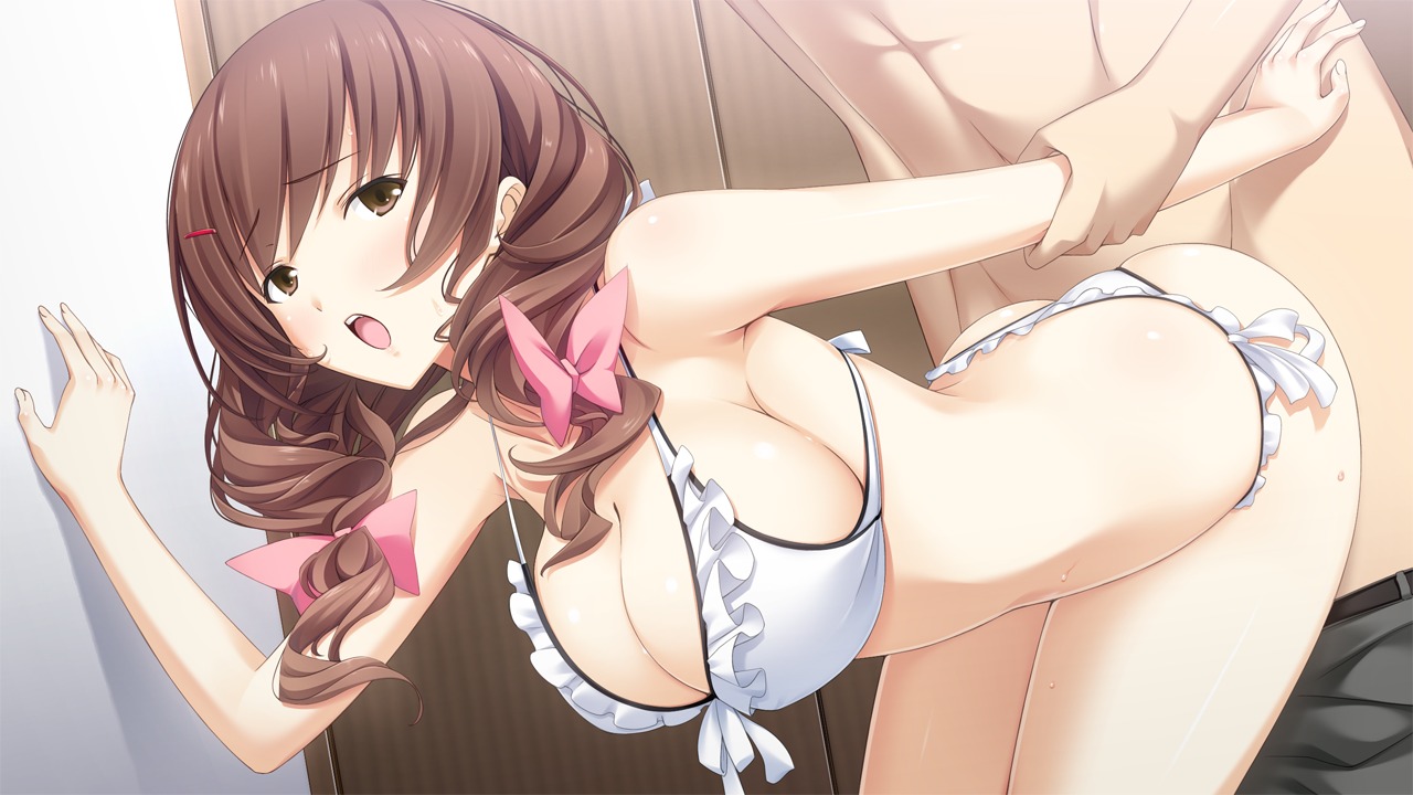bikini breasts brown_hair cleavage female game_cg hotchkiss mikage_shizuku mikoto_akemi rule34 sex swimsuit
