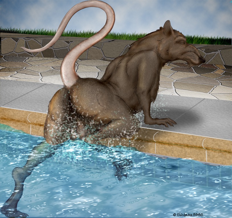2008 anthro frickabee furry male male_only master_splinter rat rodent rule34 solo solo_male straight_hair tagme tail teenage_mutant_ninja_turtles