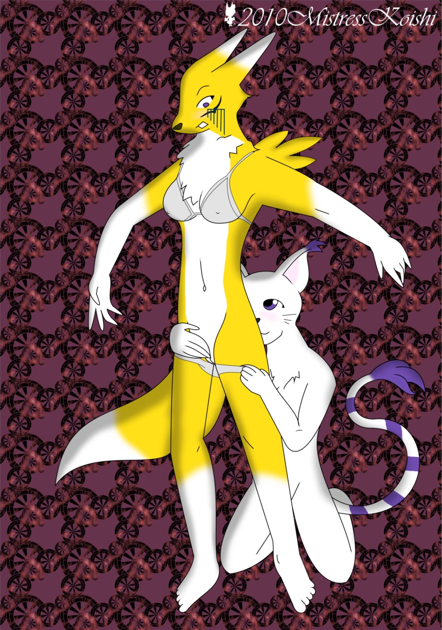 2010 anthro black_nose breasts canine color covered_breasts digimon domestic_cat dominatrixkoishi feline female female_only fingering fox fur furry furry_ears furry_tail gatomon interspecies multiple_females open_eyes pointy_ears purple_eyes pussy renamon rule34 tail white_fur yellow_fur yuri