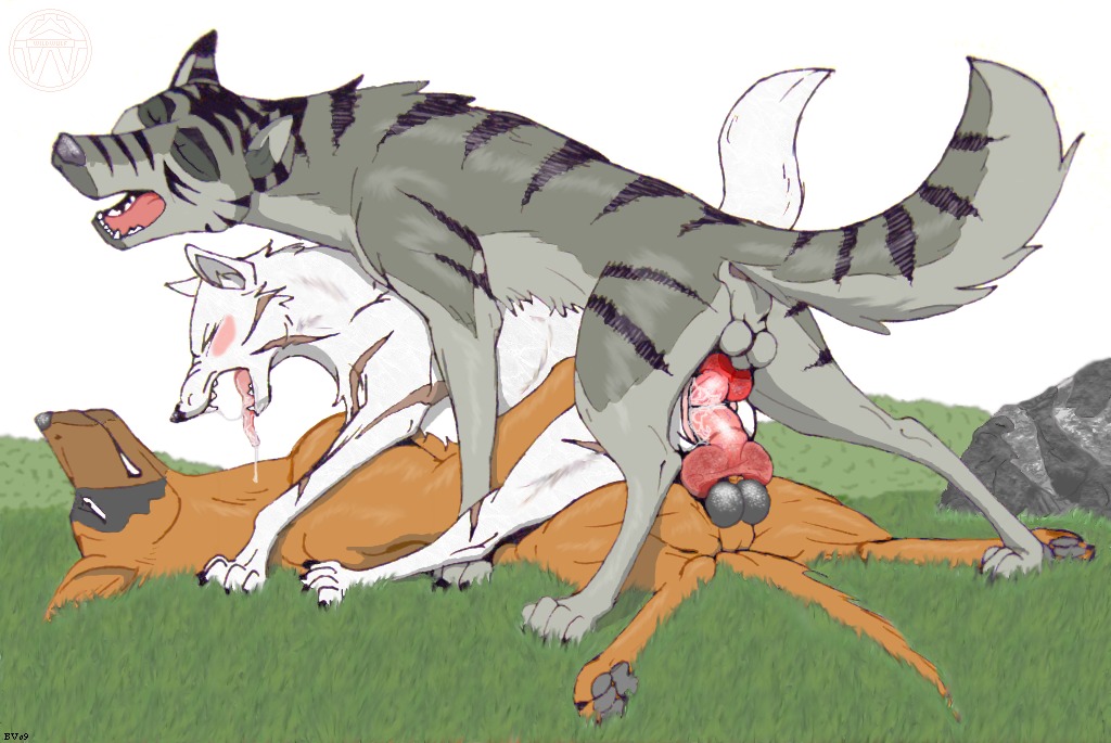 balls canine dangerdoberman double_penetration female feral ginga_(series) kagetora_(ginga) knot kyoshiro_(ginga) male penis pussy rule34 sex threesome vaginal