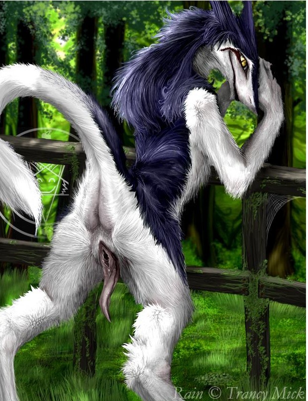 anthro anus back color day female from_behind fur furry looking_back multicolored_hair outdoors presenting pussy rain_(sergal) rain_silves rule34 sergal smooth_skin solo tail tree yellow_eyes