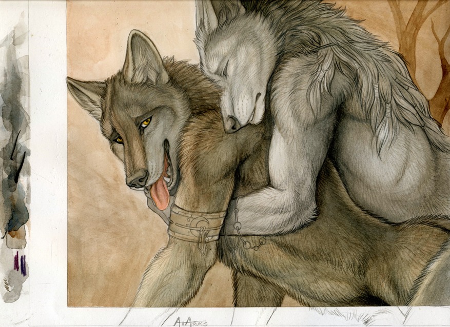 2011 all_fours anthro anthro_on_anthro canid canine canis doggystyle duo e621 eyes_closed fox from_behind_position male male/male mammal nude rukis sex tongue unfinished wolf