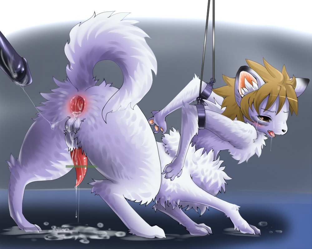 5:4 anus backsack balls bdsm bodily_fluids bondage bound brown_hair canid canine censor_bar censored cum cumshot dominant dominant_male duo e621 ejaculation erection fur gaping gaping_anus genital_fluids genitals hair humanoid_genitalia humanoid_penis ineffective_censorship male male/male mammal orgasm penis quadruped submissive submissive_male tail tapering_penis taur unknown_artist white_body white_fur