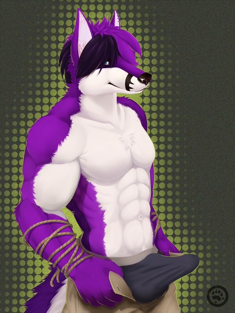 3:4 abs anthro athletic balls biceps big_muscles biped black_clothing black_hair black_nose black_underwear blue_eyes bottomwear boxer_briefs bulge canid canine canis chest_tuft clothed clothing e621 ear_piercing efenrai erection erection_under_clothing fox fur genitals grin hair hybrid looking_at_viewer male mammal muscular muscular_anthro muscular_male open_bottomwear open_clothing open_pants pants pecs penis piercing pose presenting purple_body purple_fur purple_hair rope shyloc smile solo standing tail topless tuft underwear white_body white_fur wolf