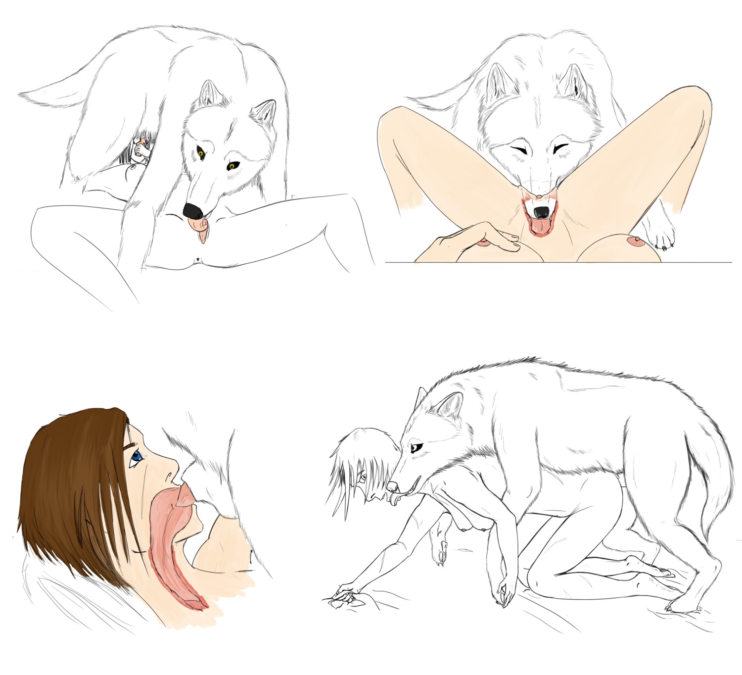 69_position absurd_res all_fours anal anal_penetration animal_genitalia animal_penis bestiality brandon_(unknown_artist) canid canine canine_genitalia canine_penis canis cunnilingus deep_throat digitigrade doggystyle duo e621 erection fellatio female female_on_feral female_penetrated feral feral_penetrating feral_penetrating_human from_behind_position genitals hi_res human human_on_feral human_penetrated internal interspecies knot knotting licking male male/female male_on_human male_penetrating male_penetrating_female mammal multiple_positions oral oral_knotting oral_penetration penetration penile penis quadruped sex snout_fuck tail tongue tongue_out unknown_artist vaginal wolf