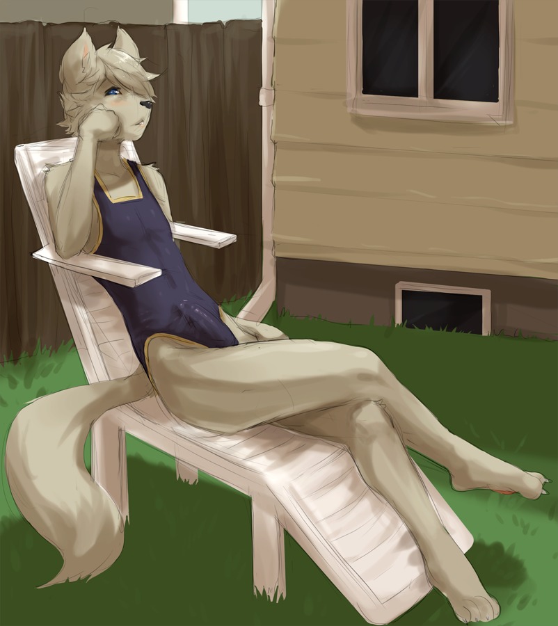 anthro arm_support barefoot biped blue_eyes blush building bulge clothed clothing crossdressing crossed_legs detailed_background detailed_bulge domestic_cat e621 erection erection_under_clothing feet felid feline felis femboy fur genital_outline genitals grass grey_body grey_fur grey_hair hair hair_over_eye house leaning_on_elbow male mammal one-piece_swimsuit one_eye_obstructed outside paws penis penis_outline plant sitting solo sport_swimsuit swimwear tatsumichi veranda wood