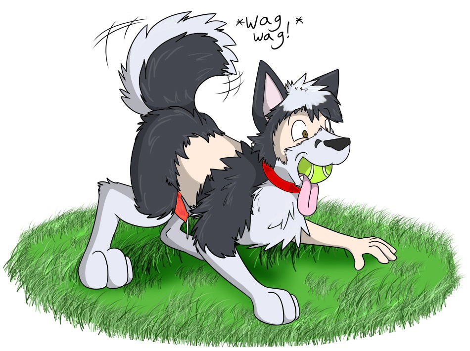 all_fours ball bodily_fluids brown_eyes canid canine canis collar digitigrade domestic_dog dripping e621 english_text erection feet feral feral_transformation fox0808 genital_fluids genitals grass hindpaw holding_ball holding_object human_to_feral husky knot male mammal mouth_hold nordic_sled_dog nude nude_edit paws penis plant precum quadruped simple_background solo species_transformation spitz tail tennis_ball tennis_ball_in_mouth text third-party_edit tongue transformation white_background