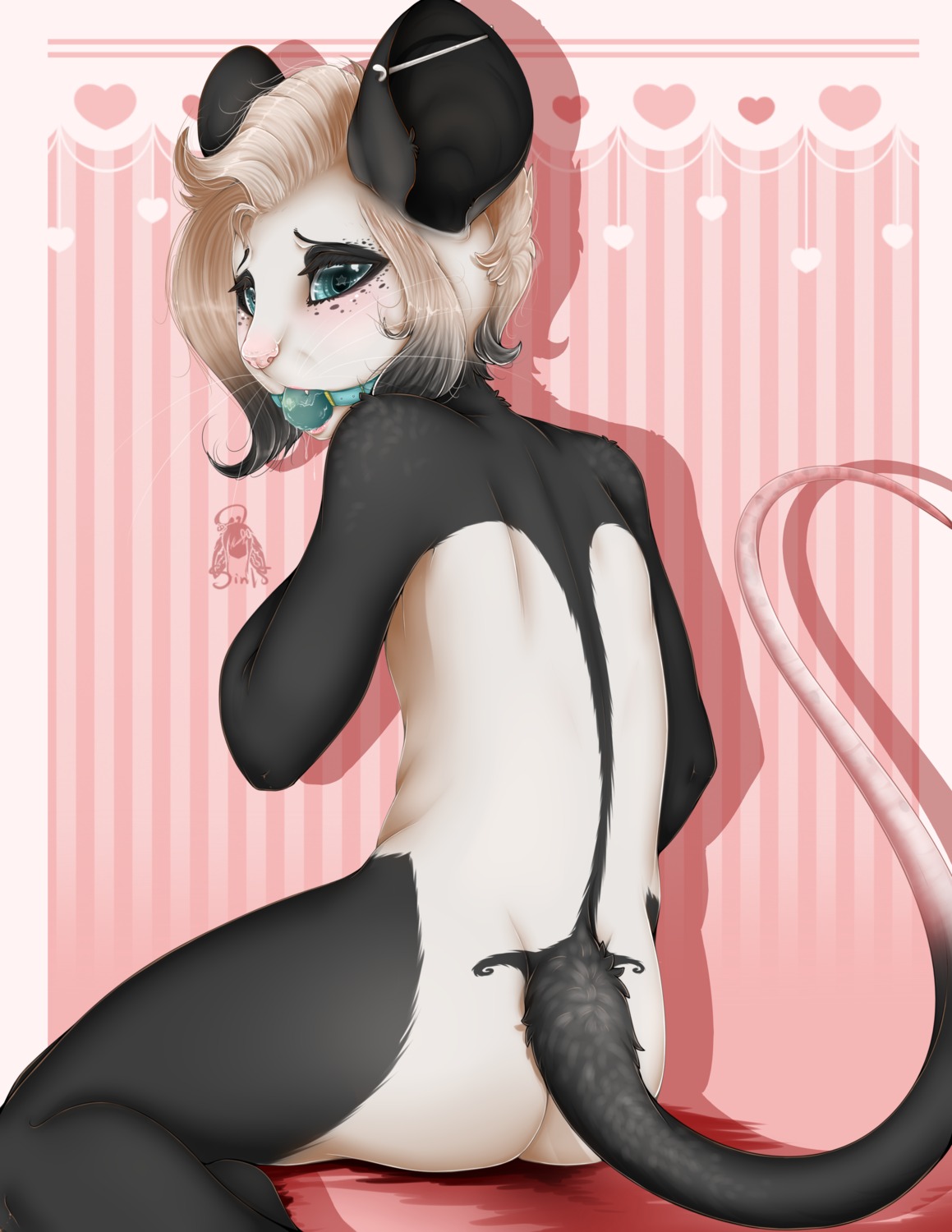 2013 absurd_res american_opossum anthro ball_gag biped black_body black_fur black_hair blonde_hair blue_eyes blush bodily_fluids butt digital_media_(artwork) e621 ear_piercing femboy fur gag gagged hair heart_symbol hi_res industrial_piercing looking_at_viewer looking_back male mammal marsupial nude piercing pink_nose saliva shaded short_hair sinfulwhispers15 sitting solo virginia_opossum whiskers white_body white_fur
