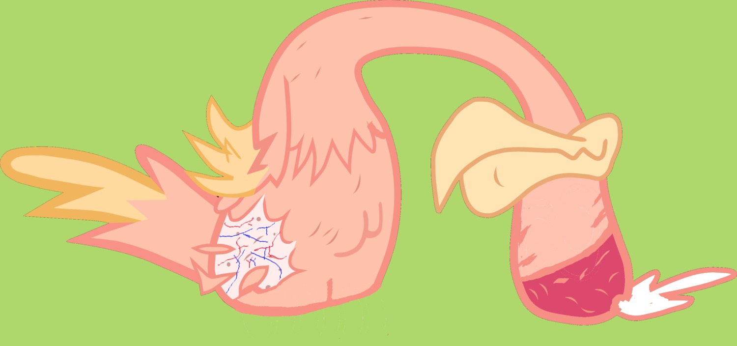 friendship_is_magic futanari intersex monophallia my_little_pony penis penis_head philomena rule34 smooth_skin tagme unusual_anatomy unusual_anatomy_placement unusual_genitalia_placement unusual_penis_placement what